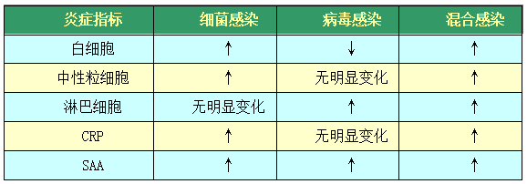 圖片11.png
